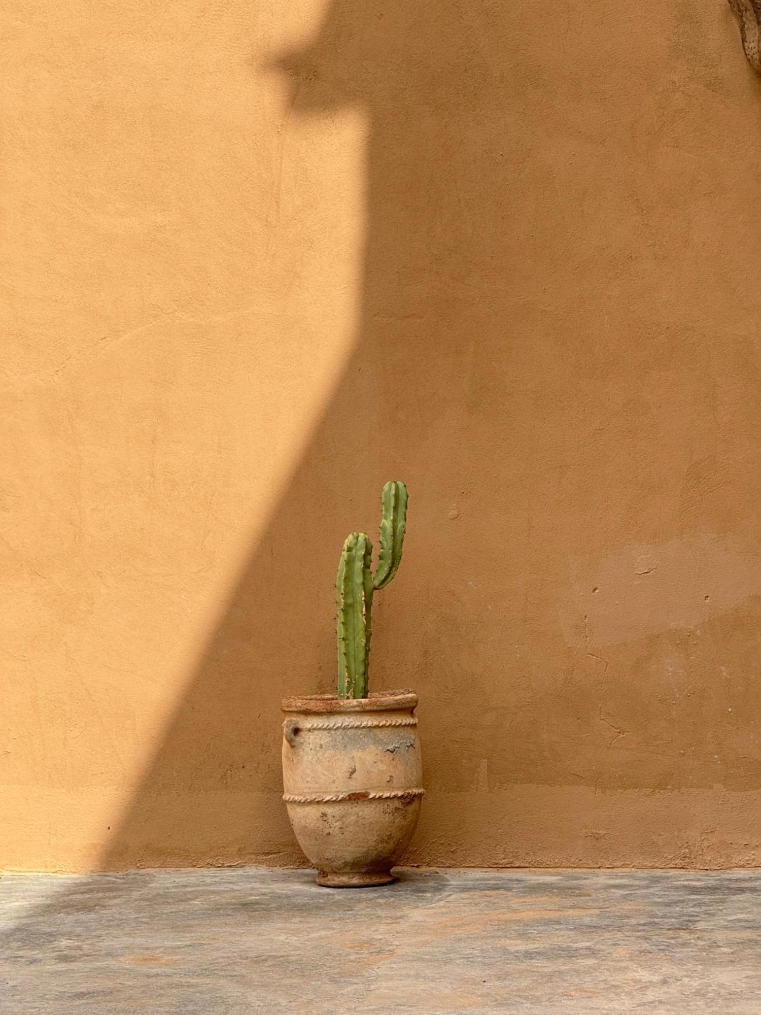 Отель Kasbah Aitisfoul Tagounite Экстерьер фото