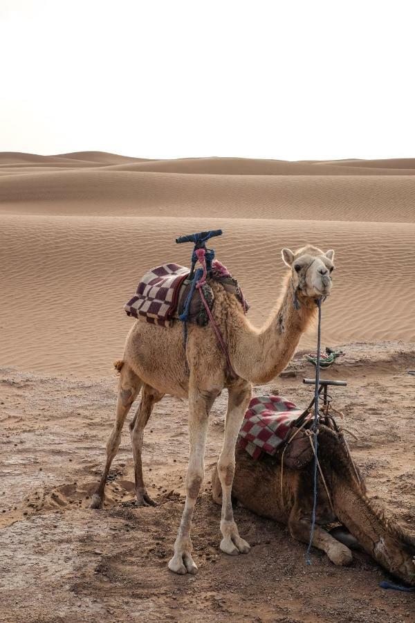 Отель Kasbah Aitisfoul Tagounite Экстерьер фото